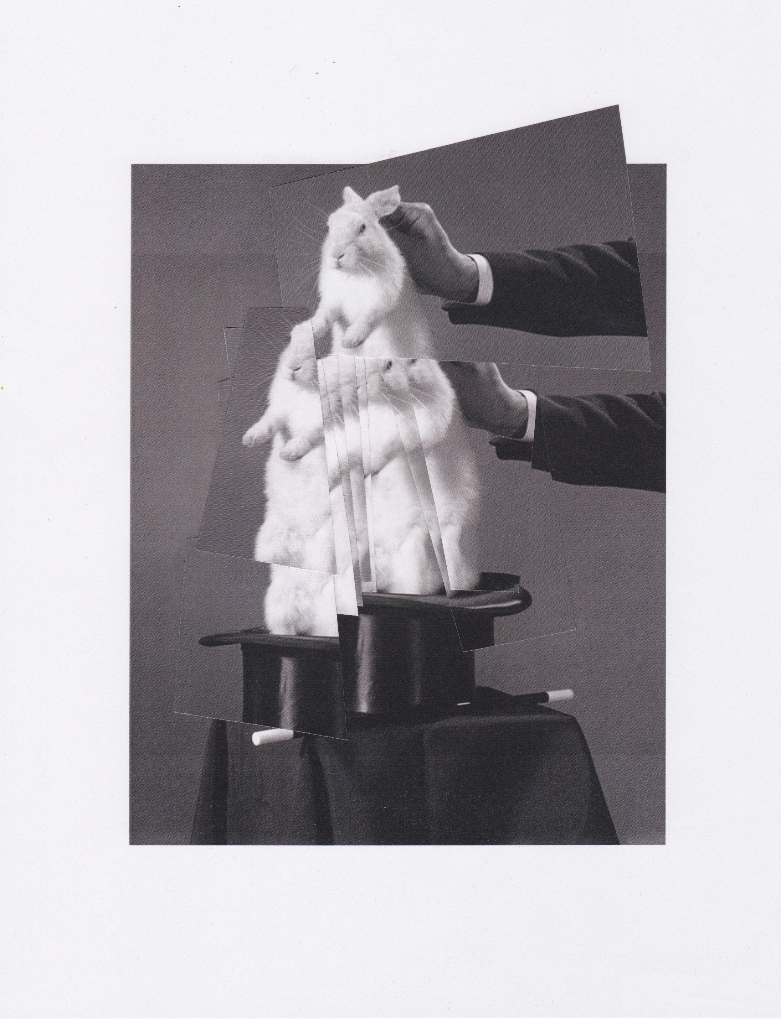 Collage 4